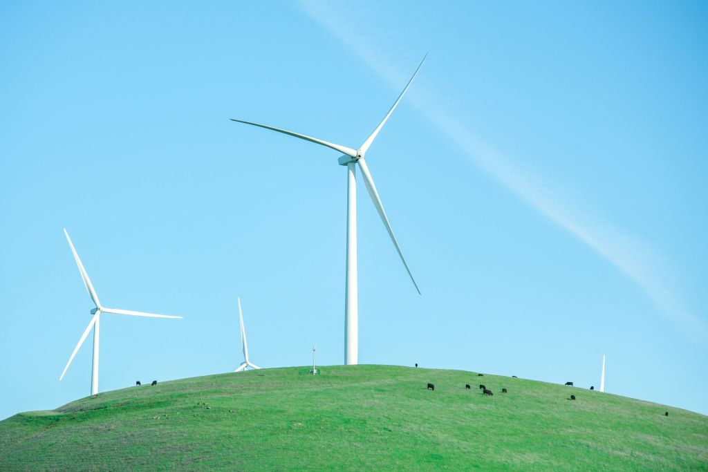 Energy transition and net-zero pathways
